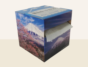 ft-box写真
