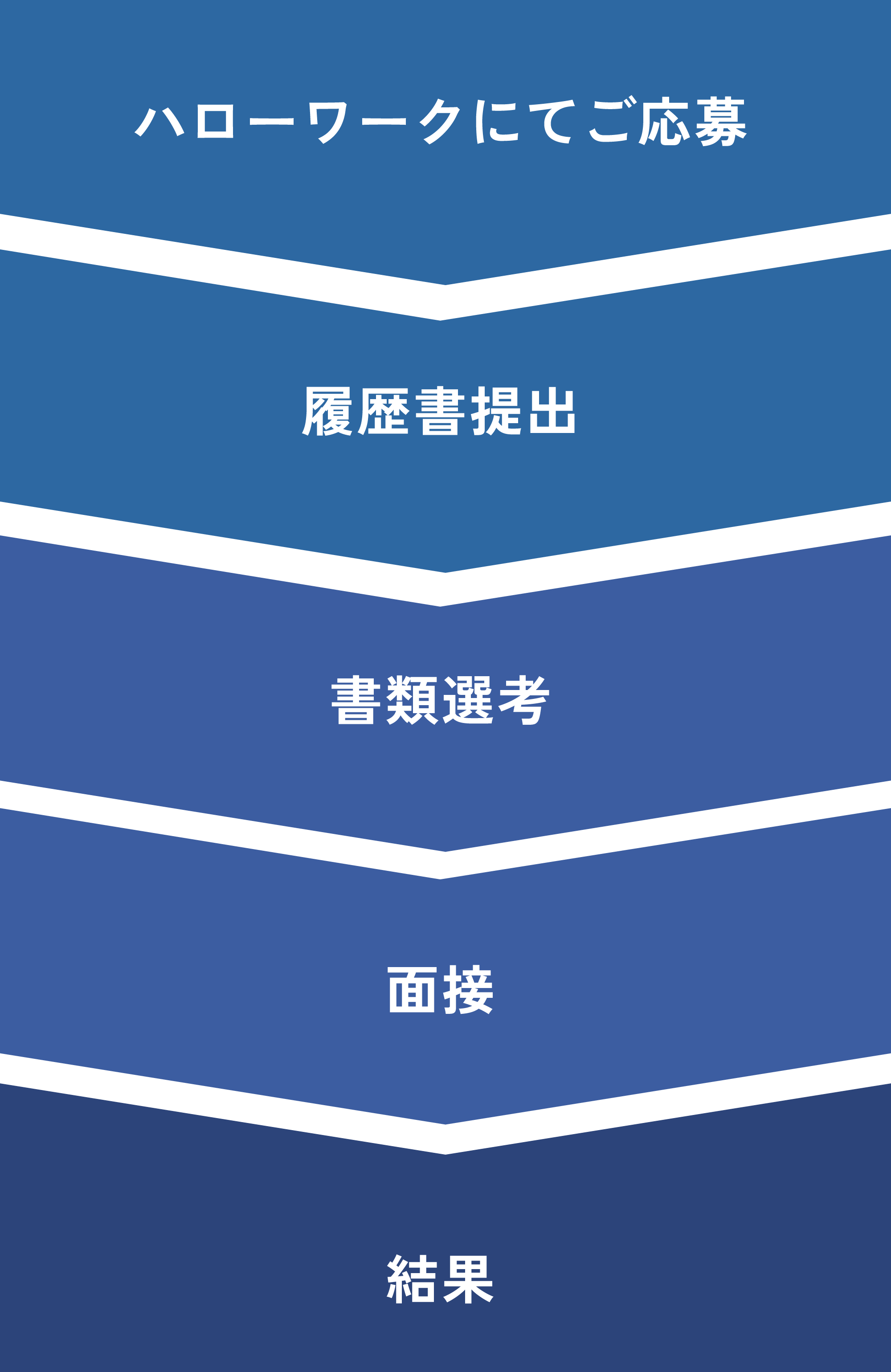 採用の流れ